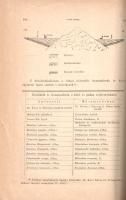 A Magyar Királyi Földtani Intézet évkönyve. VII. kötet. (1884-1887).
Budapest, 1884-1887. Franklin-...