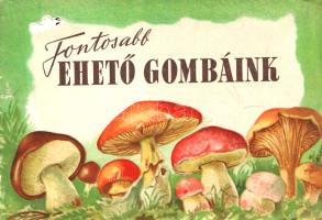 Fontosabb ehető gombáink (Budapest), [1953]. (Budapesti Szikra Nyomda). 23 + [1] p. Haránt alakú kötet. Egyetlen kiadás. Részletgazdag, színes rajzokkal ellátott növényhatározónk 22 hazai, ehető gombafajtát ismertet. Részlet az előszóból: "A magyar erdők és mezők ehető gombáinak megismerése és fokozottabb felhasználása: nemzetgazdasági érdek. A kétmillió katasztrális holdat kitevő erdőinkben termő (közepes gombajáratú évet és kh-ként 5-10 kg gombatermést számítva) 10 millió kg értékes, ehető gombának jelenleg csak egy részét gyűjtik össze értékesítés végett. Pedig a gombák főleg magasabb fehérjetartalmuk miatt jelentős tápanyagforrást jelentenek. Kiadványunk célja kettős: 1. Felhívja a figyelmet a hatalmas mennyiségű, kitűnő ízű gomba begyűjtésére és fogyasztására. 2. Rámutasson arra, hogy ne bízzuk magunkat a babonákra, mert félrevezetnek. Sem az ezüstkanál megfeketedése, sem egyéb módszerek nem mutatják ki a gomba esetleges méregtartalmát." Fűzve, színes, illusztrált kiadói borítóban, a borítófedeleken apró hiánnyal. Jó példány.
