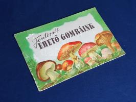Fontosabb ehető gombáink
(Budapest), [1953]. (Budapesti Szikra Nyomda). 23 + [1] p. Haránt alakú kö...