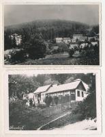 Stájerlak, Steierlak, Stájerlakanina, Steierdorf, Anina - 2 db RÉGI képeslap: látkép, villák / general view, villas