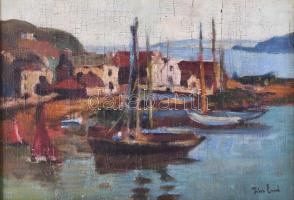 Tibor Ernő jelzéssel: Kikötő vitorlásokkal. Olaj, karton. Kissé sérült. Dekoratív fakeretben. 30×42,...