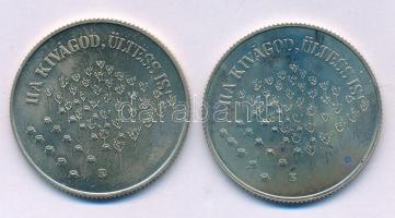 1984. 100Ft Cu-Ni "FAO - Ha kivágod, ültess is!" (2x) mindkettő kapszulában T:UNC, patina
...