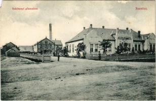 Szentes, Széchenyi gőzmalom, Székely József fa- és fűrészüzlete. Untermüller Ernő kiadása (EM)