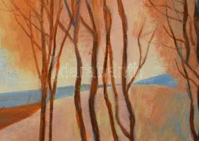 Szentgyörgyi Kornél (1916-2006): Vágta. Olaj, farost, jelezve jobbra lent, hátoldalán kissé töredéke...