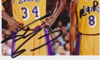 Shaquille O'Neal, becenevén Shaq, egy amerikai profi kosárlabdázó, színész és sportelemző, aki az NBA történetének egyik legdominánsabb centere volt. 1972. március 6-án született Newarkban, New Jersey államban, és 19 éves pályafutása alatt hat különböző csapatban játszott. Karrierje és sikerei Shaq az Orlando Magic csapatában kezdte pályafutását, majd a Los Angeles Lakers színeiben érte el legnagyobb sikereit, ahol három egymást követő NBA-bajnoki címet nyert (2000?2002). Később a Miami Heat csapatával is bajnok lett (2006). Legfontosabb eredményei:   4× NBA-bajnok (2000?2002, 2006)  3× NBA-döntő MVP (2000?2002)  NBA MVP (2000)  15× NBA All-Star (1993?1998, 2000?2007, 2009)  NBA Az év újonca (1993)  Színészi és üzleti karrier Shaq nemcsak a pályán, hanem a filmvásznon is feltűnt. Szerepelt olyan filmekben, mint:   Kazaam (1996) - egy dzsinn szerepében  A játék ördöge (1998) - Denzel Washington oldalán  Horrorra akadva 4 (2006) - önmagát alakítva  Emellett sikeres üzletember, saját sportelemző műsora van, és több vállalkozásban is részt vesz, beleértve az ingatlanpiacot és az étteremláncokat.