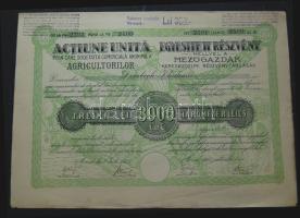 1929. "Részvénytársaság Villamos és Közlekedési Vállalatok számára" részvénye 100P-ről, magyar és német nyelven, szelvényekkel