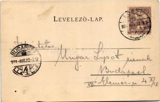 1901 Lőcse, Leutschau, Levoca; Városház északi oldala. Schmidt Edgar kiadása / town hall (ázott saro...