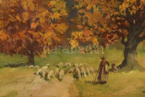 Zórád Géza (1896-1959): Pásztor nyájjal, 1949. Olaj, karton. Jelezve jobbra lent. Dekoratív, kissé s...