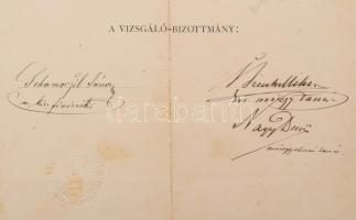 1874-1906 Herpich Ferenc hajógépész bizonyítványai, okmányai, összesen 6 db, közte a Cs. és Kir. Had...