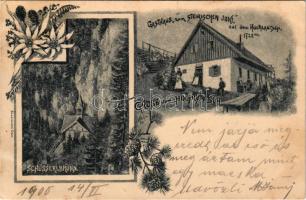 1900 Hochlantsch (Steiermark), Gasthaus zum Steirischen Jokl auf dem Hochlantsch, Schüsserlbrunn / inn and tourist house, restaurant. Senefelder Art Nouveau, floral