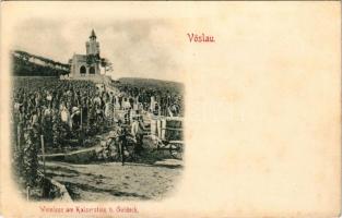 Bad Vöslau, Weinlese am Kaiserstein b. Goldeck / grape harvest, vineyards (fl)