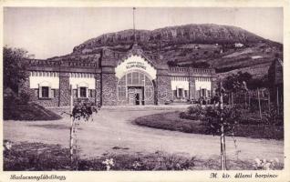 Badacsonylábdihegy Állami Borpince