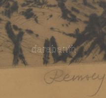 Remsey Jenő (1885-1970): Kertek alján. Rézkarc, papír, jelzett, üvegezett fakeretben, kissé foltos, ...