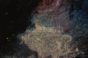 Olvashatatlan jelzéssel: Női akt. Olaj, farost, fakeretben, 32,5x45 cm