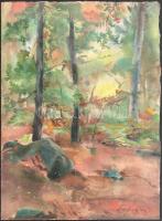 Endrédy György (1910-1988): Őszi erdőrészlet. Akvarell, papír, jelzett, 38,5×28 cm