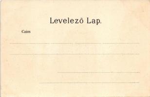 Budapest VIII. Kálvin tér, József és Baross utca, szökőkút, gyógyszertár. Ganz Antal 304. litho