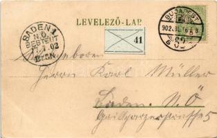 1902 Budapest V. Országház, Parlament. Erdélyi cs. és kir. udvari fényképész felvétele után, litho (...