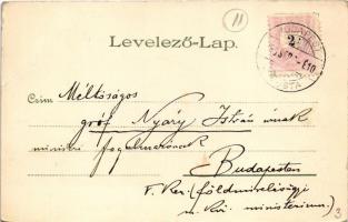 1899 Budapest I. Királyi várpalota. Kunstanstalt Kosmos litho (EB)