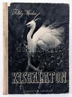 Ifj. Tildy Zoltán: Kisbalaton. Vertse Albert bevezetőjével. A szerző fotóival. Bp., 1953, Művelt Nép, 92+3 p. Első kiadás. Kiadói félvászon-kötés, kopott borítóval,