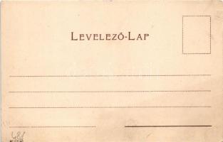 Budapest, Erzsébet királyné hídja, Tabán, Szent Gellért szobor, Királyi vár. Székesfőváros Házinyomd...