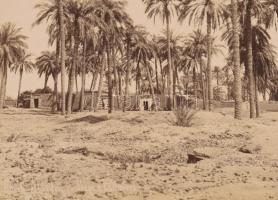 cca 1890-1900 Jean Pascal Sébah (1872-1947): Sheik Abada (Egyiptom, Antinoopolis, ma: El Sheikh Ibad...