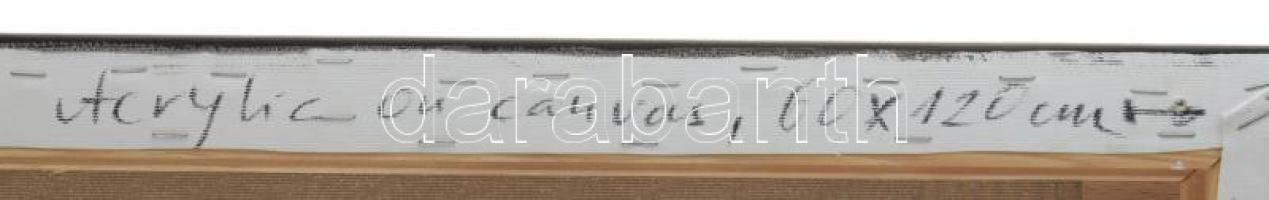 Ottó László (1966-): Origo-metrum [beyond] [20210312]. Akril, vászon, jelzett a hátoldalán. 60x120 c...