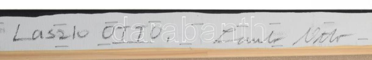 Ottó László (1966-): Origo-metrum [beyond] [20210312]. Akril, vászon, jelzett a hátoldalán. 60x120 c...