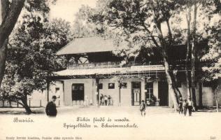 Buziás spa and swimming pool