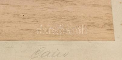 cca 1890-1900 Jean Pascal Sébah (1872-1947): "Kasr el-Nil laktanya, Kairó", nagyméretű fot...