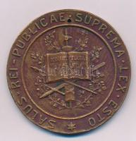 Lengyelország 1921. "SALUS REI PUBLICAE SUPREMA LEX ESTO / SEJM USTAWODAWCZY RZECZYPOSPOLITEJ P...