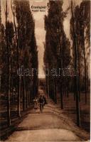 Érsekújvár, Nové Zámky; Vasúti fasor, kerékpáros férfi. Vasúti levelezőlapárusítás 3678. / railway promenade with man on bicycle