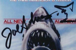 Joe Alves - A Cápa című film látványvilágának mestere aláírása Joe Alves amerikai látványtervező és rendező, aki a Cápa (Jaws) című klasszikus horrorfilm vizuális világának megalkotásával vált legendává. Ő volt az, aki megtervezte a híres mechanikus cápát, és ezzel hozzájárult ahhoz, hogy Steven Spielberg filmje minden idők egyik legfélelmetesebb moziélményévé váljon. Az aláírt fényképe nem csupán egy filmes relikvia, hanem egy darabja annak a korszaknak, amikor a technika és a kreativitás együtt teremtett filmtörténelmet. A Cápa szülőatyja - Alves volt a látványtervezője az 1975-ös Cápa című filmnek, és ő tervezte meg a híres mechanikus cápát, amelyet "Bruce"-nak neveztek el. Filmtörténeti mérföldkő - A film technikai nehézségei ellenére Alves munkája kulcsfontosságú volt abban, hogy a feszültség és a realizmus működjön a vásznon. Rendezői szerepben is - A Cápa 3 (Jaws 3-D) című folytatásban már rendezőként dolgozott, és a 3D-s technológia alkalmazásával új irányt adott a sorozatnak. Hollywood háttérzsenije - Karrierje során olyan filmeken dolgozott, mint a Menekülés New Yorkból (Escape from New York) vagy a Close Encounters of the Third Kind, mindig a látványtervezés élvonalában. A vizuális történetmesélés mestere - Alves munkája bizonyítja, hogy a filmek varázsa nemcsak a színészeken, hanem a háttérben dolgozó kreatív szakembereken is múlik.