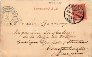 1905 Herkulesfürdő, Baile Herculane; Kurpark und Kursalon / fürdő, gyógyterem. R. Krizsány kiadása /...