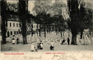 Brno, Brünn; Schreibwald (Pisárky), Restaurant Josef Aschenbrenner / restaurant, garden with waitresses and dogs (r)