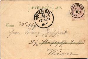 1899 Herkulesfürdő, Baile Herculane; Kurhaus Rudolfshof / Gyógyterem, Rezső udvar / general view, sp...