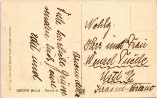 Brijuni, Brioni (Istria); Partita di Polo / Lovaspóló mérkőzés / polo match, horses