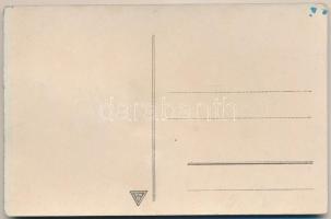 Papagáj - igazi tollakkal / Parrot - with real feathers