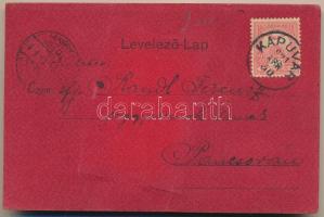 1901 Egyedi, ragasztott művészlap emlékkönyv rátéttel, lóherével, titkosírással írt üzenettel / Uniq...