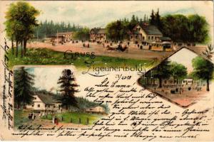 1898 Bielsko-Biala, Bielitz; Gruss aus dem Zigeunerwald. Jägerhaus u. Emmenhof, Restaurant / restaurant, hunting lodge, tram. Kunstanstalt Miesler Art Nouveau, floral, litho (EK)