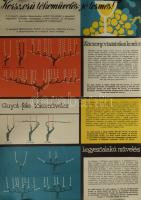 1960 Korszerű tőkeművelés: jó termés! Mezőgazdasági oktató-szemléltető plakát, papír, Állami Nyomda, feltekerve, hajtásnyomokkal, apró lapszéli szakadásokkal és apró foltokkal, 82x57 cm