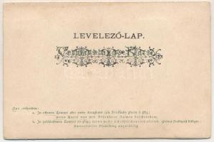 1900 Beste Grüsse! / cats and dogs mechanic litho art postcard (does not work) (tears)