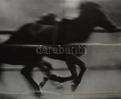 1978 A ménesgazda, filmplakát, ofszet, papír, Offset és Játékkártya Nyomda, hajtásnyomokkal, lapszél...