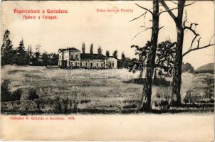 1910 Hvizdets, Gwozdziec; Palac kniazia Puzyny / palace, castle (fl)