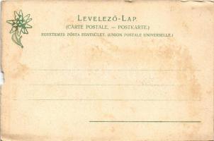 Szepesófalu, Spisská Stará Ves, Altendorf; látkép, piac, Feitzinger Ede kiadása / general view, mark...