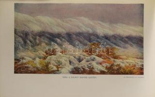 A Műveltség Könyvtára sorozat összesen 14 kötete: Művészet I-II. köt., A technika vívmányai I-II.köt...