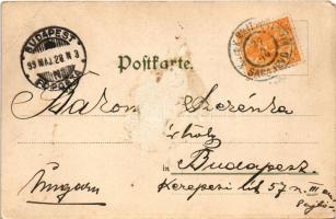 1899 Cats with aquarium. Theo. Stroefer's Kunstverlag. Aquarell-Postkarte Serie VII. No. 5254. ...