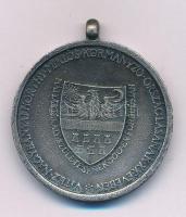 1940. "Erdélyi részek felszabadulásának emlékére" Zn emlékérem mellszalag és függesztőkari...