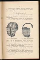 Altenstein, Axel von: Der Fechtsport. Mit 42 Abbildungen von Karl Spilling. Bibliothek für Sport und...