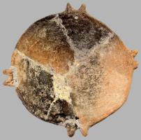 Tál és edény. Feltehetően magyar, vaskor, restaurált, d: 15 cm, 20x11 cm /// Bowl and vessel. Presum...