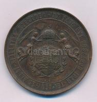 1876. "Az 1876 évi Országos Ipar-termény- és Állat-kiállítás Szegeden / Érdem Érem" kétoldalas vert bronz érdemérem (50mm) T:AU,XF kis patina